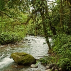 Umachaca River 1