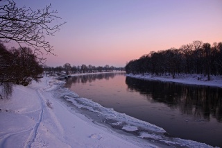 Bild des Tages 29.12.2010 - Winterlandschaft